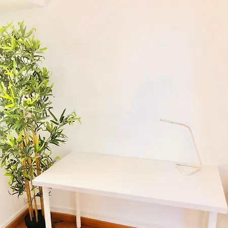 Cantinho Do Picadeiro