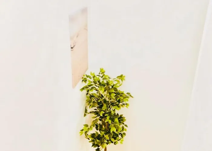 Cantinho Do Picadeiro Апартаменты Фигейра-да-Фош